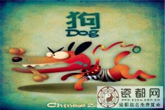 生肖狗，你的人生择友观