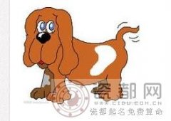 生肖狗在英语中的象征意义