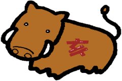 揭秘生肖猪女的雷区