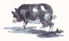 生肖猪男忙碌之余如何讨老婆开心