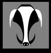 2014年属猪开运的吉祥物