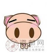 如何追求生肖猪女生