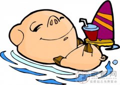 农历时间看生肖猪终生命局_属猪的命运