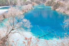 2019年生肖属鼠的贵人生肖属相？2019年属鼠贵人是啥？