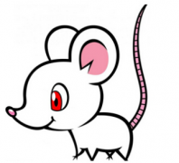 2019年属鼠人爱情方位有哪些？