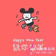 属鼠2017年运势及运程 2017年属鼠人的全年运势