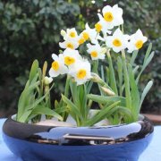 属鼠人是如何度过光棍节的