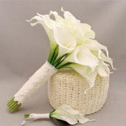 属鼠人的爱情凶手是什么