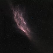 属鼠看恐怖片会是什么反应