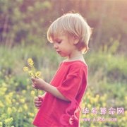 属鼠的人怎样获得事业的成功？