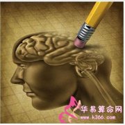 属鼠的人智商怎么样？