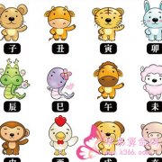 属鼠的人格能从什么花中看出来