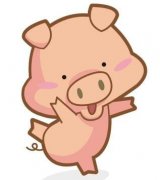 属猪人家装风水宜忌,属猪人家装风水有什么宜忌？