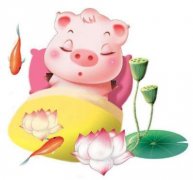 属猪人住房风水有什么说法？