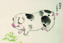 子时出生的生肖猪的命运怎么样？生肖猪的命理好吗？