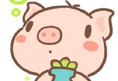 1947年属猪的人2019年运势大全及破解