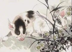 1983年属猪的人2020年运势及运程大全解析