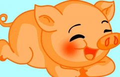 各个年份出生的属猪人2020年运势