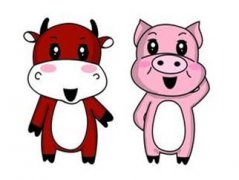 男猪女牛的婚姻相配吗？生肖牛有什么让人讨厌的习惯呢？