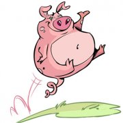 属猪2018年运势及运程 2018年属猪人的全年运势