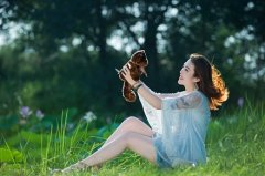 生肖属猪2019年财运好吗？属猪如何旺自己的财运？