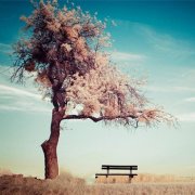 属猪的男人在情人节会准备什么样的奇葩礼物