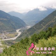 属猪的人如何与同事相处