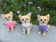 属狗巳时生人的命运怎么样？