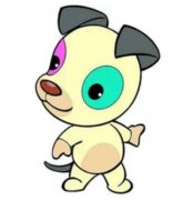 2019年属狗人哪些月份适合结婚？