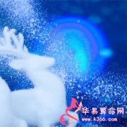 属狗的人最无法释怀的事情是什么