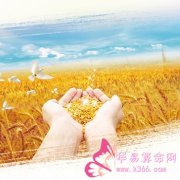 属鸡的人老板看不上什么人