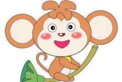 未时出生的生肖猴的命运好不好？