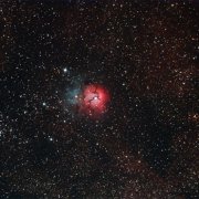 属猴看恐怖片会是什么反应