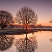 属猴的男人在情人节会准备什么样的奇葩礼物