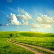 属猴人看恐怖片有哪些反应