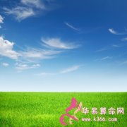 属猴人应注意哪些养生