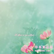 属猴的人超级爆笑点评