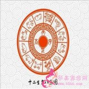 属猴的适合什么工作