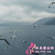 属猴的人丢弃什么就可以海阔天空