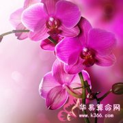 属猴的人无法兑现的空头支票是什么