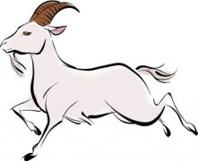 各个年份出生的属羊人2020年运势