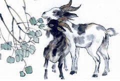 1967年属羊的人2019年运势大全及破解