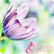 属羊人生气后有什么样的后果