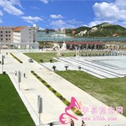 属羊的人适合学习什么外国语言