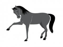 各个年份属马的人2020年运势