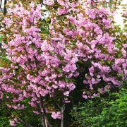 属马人会如何应对职场冷遇