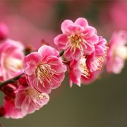 属马人约会时应避免的错误是什么