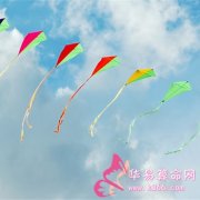 属马的效率怎么样