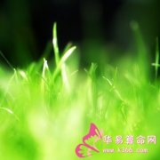 属马的人最一鸣惊人的一句话是什么