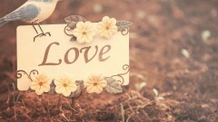 女龙男牛婚姻相配吗？属牛男性格如何？